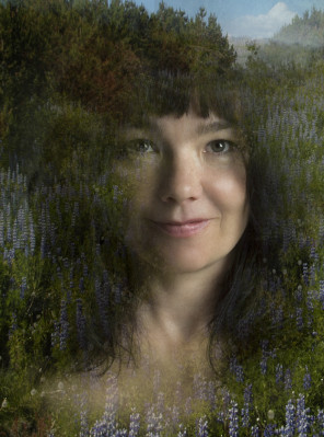 Bjork pic #190597
