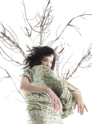 Bjork pic #190599