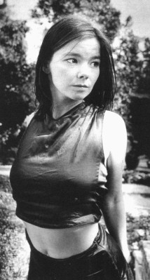 photo 8 in Bjork gallery [id13624] -0001-11-30 00:00:00