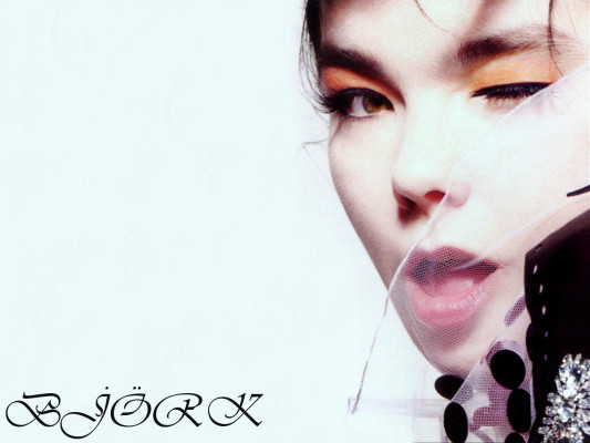 Bjork pic #66368
