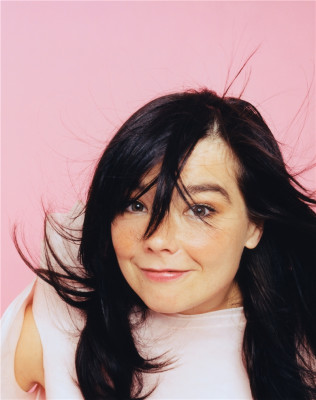 Bjork pic #150561
