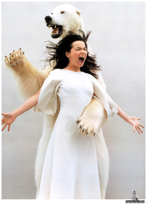 Bjork pic #3484