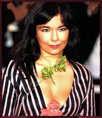 Bjork pic #5092