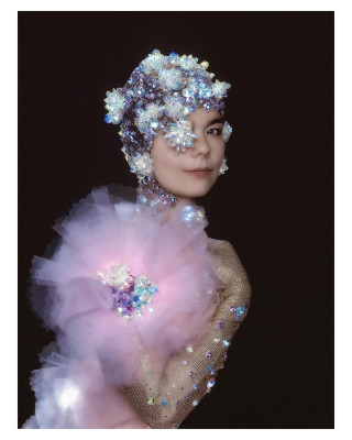 photo 12 in Bjork gallery [id109351] 2008-09-18 00:00:00