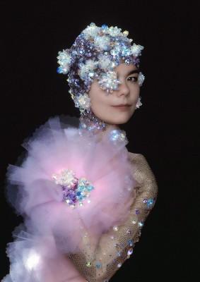 photo 21 in Bjork gallery [id379274] 2011-05-19 00:00:00