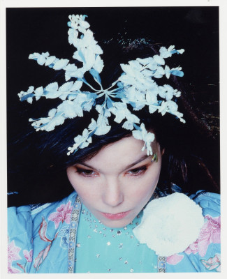 photo 23 in Bjork gallery [id69144] -0001-11-30 00:00:00