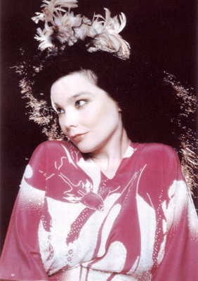 Bjork pic #194145