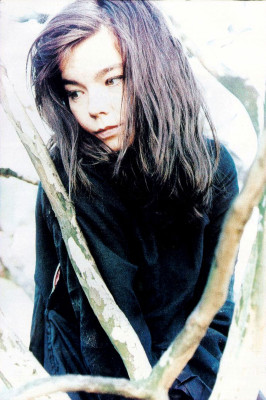 photo 27 in Bjork gallery [id13605] -0001-11-30 00:00:00
