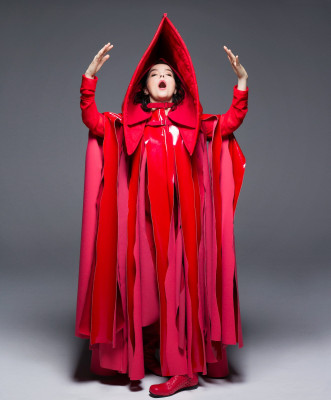 Bjork pic #759205