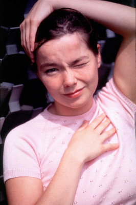 Bjork pic #168937