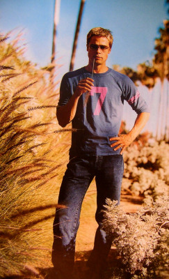 Brad Pitt pic #20865