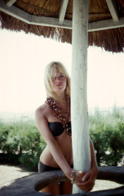 Brigitte Bardot pic #273534