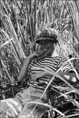 Brigitte Bardot pic #228799