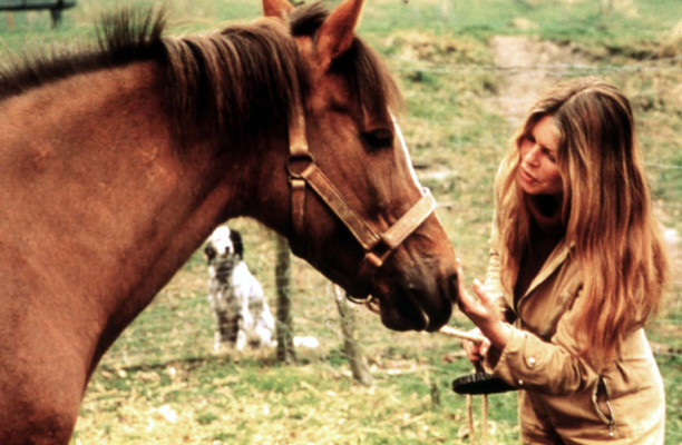 Brigitte Bardot pic #240046