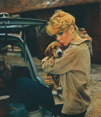 Brigitte Bardot pic #240051
