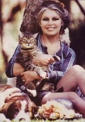 Brigitte Bardot pic #473270