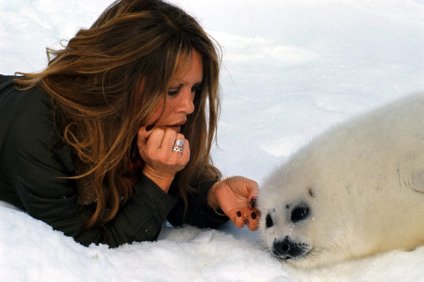 Brigitte Bardot pic #469067
