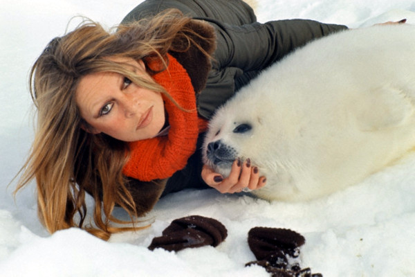 Brigitte Bardot pic #469070
