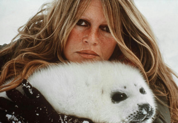 Brigitte Bardot pic #469068