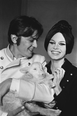 Brigitte Bardot pic #474246