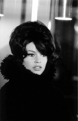 photo 15 in Brigitte Bardot gallery [id479364] 2012-04-23 00:00:00