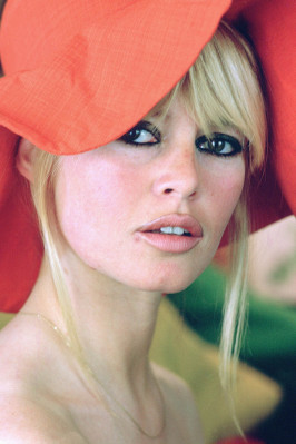 photo 15 in Brigitte Bardot gallery [id136861] 2009-03-04 00:00:00
