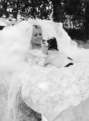 photo 3 in Brigitte Bardot gallery [id146068] 2009-04-08 00:00:00