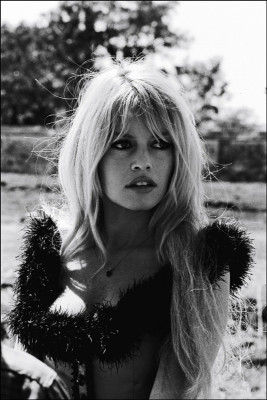 Brigitte Bardot pic #229138
