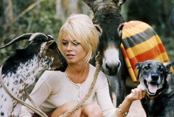 Brigitte Bardot pic #164145