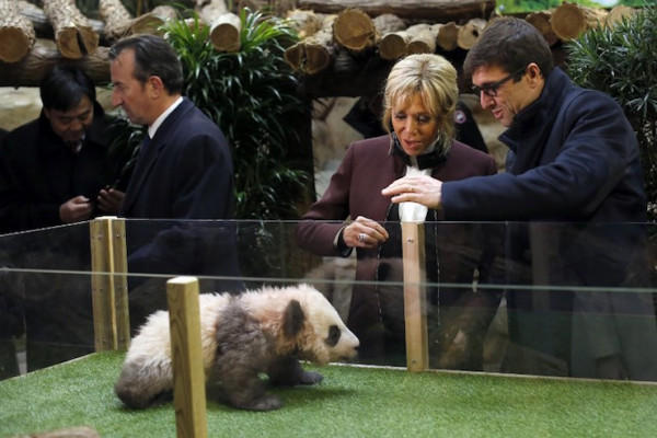 Brigitte Macron pic #990766