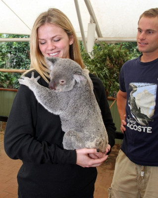 Brooklyn Decker pic #229968