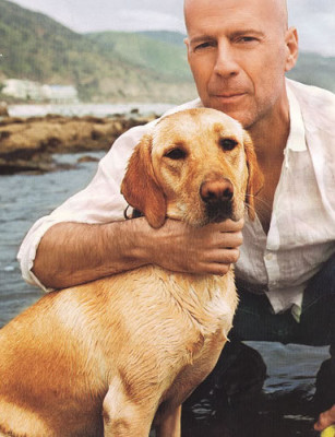 Bruce Willis pic #57652