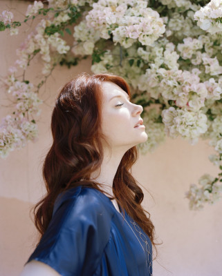 Bryce Dallas Howard pic #950347