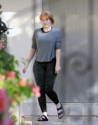 Bryce Dallas Howard pic #949151