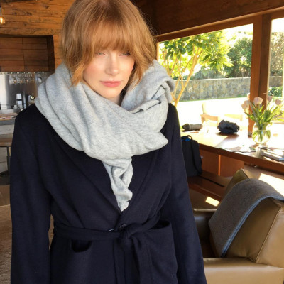 Bryce Dallas Howard pic #926984