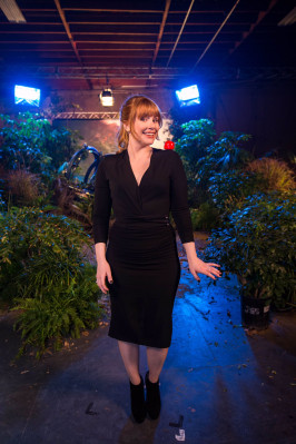 Bryce Dallas Howard pic #1040503
