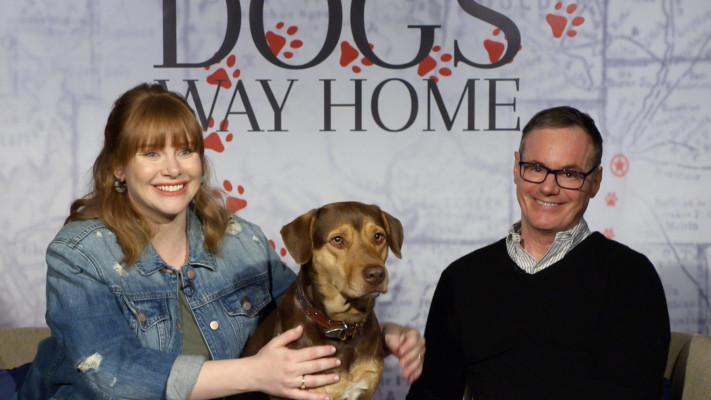Bryce Dallas Howard pic #1099301