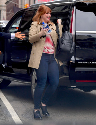 Bryce Dallas Howard pic #1141110