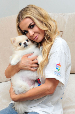 photo 22 in Carmen Electra gallery [id1044466] 2018-06-14 00:00:00