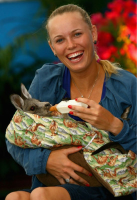 Caroline Wozniacki pic #466666