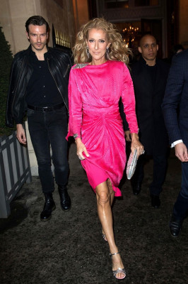 photo 25 in Celine Dion gallery [id1103321] 2019-02-05 00:00:00