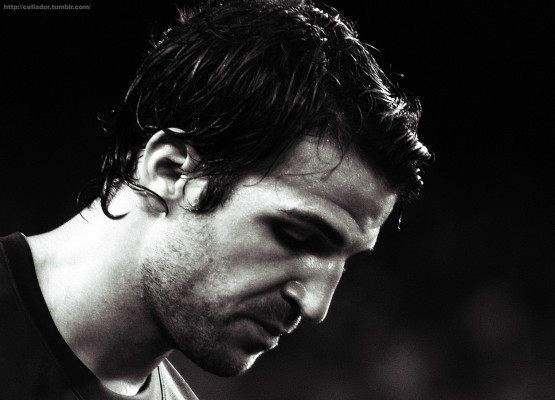 photo 12 in Cesc Fabregas gallery [id493144] 2012-05-27 00:00:00