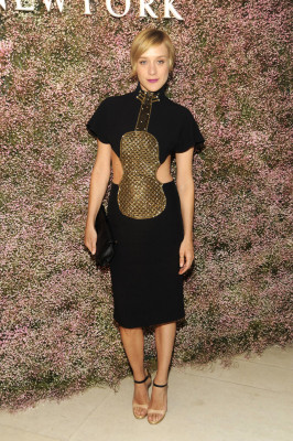 Chloe Sevigny pic #589914