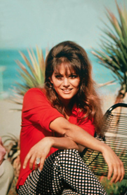 Claudia Cardinale pic #164448