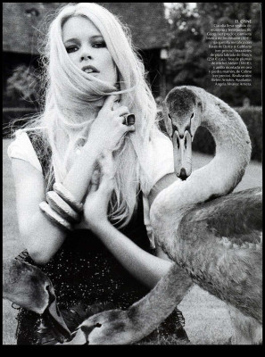 photo 27 in Claudia Schiffer gallery [id65140] -0001-11-30 00:00:00