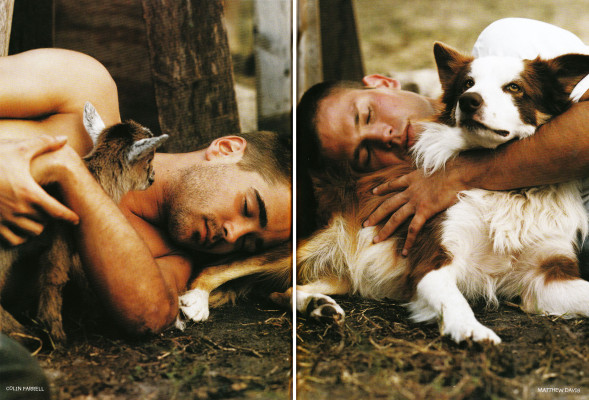 Colin Farrell pic #220038