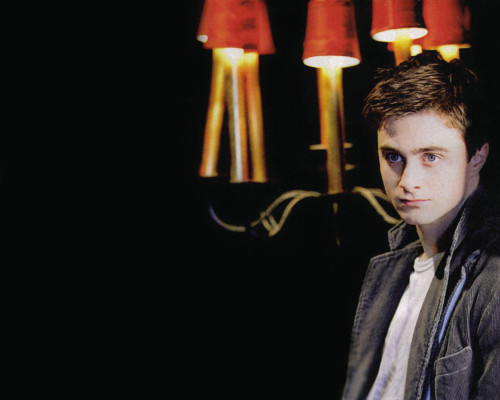 photo 16 in Daniel Radcliffe gallery [id639807] 2013-10-19 00:00:00
