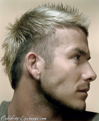 David Beckham pic #22425