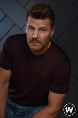 David Boreanaz pic #1255122