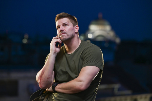 David Boreanaz pic #1265505